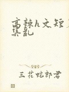 高辣h文短篇合集乱封面