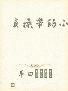 贞操带的小说封面