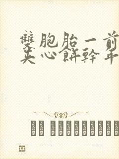 双胞胎一前一后夹心饼干年下