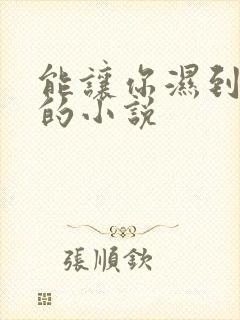 能让你湿到不行的小说