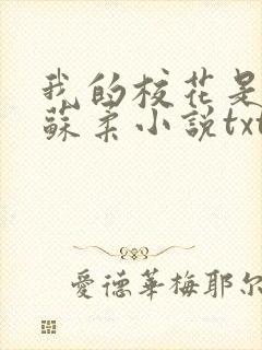 我的校花是福姬苏柔小说txt