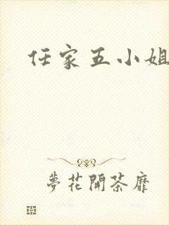 任家五小姐封面