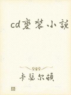 cd变装小说
