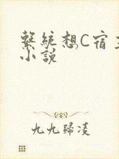 系统想C宿主的小说