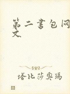 第二书包网高辣文封面