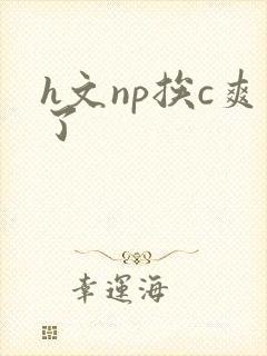 h文np挨c爽了