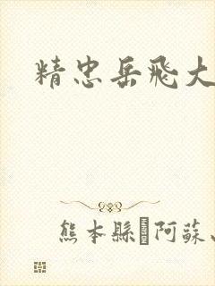 精忠岳飞大结局