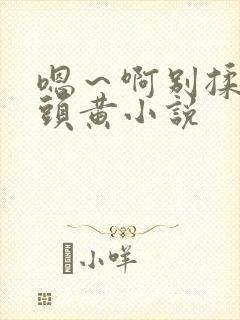 嗯～啊别揉我奶头黄小说封面