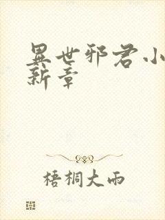 异世邪君小说最新章