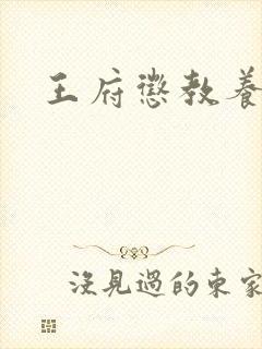 王府惩教养日常