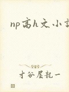 np高h文小说