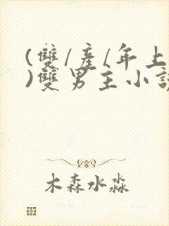 (双/产/年上)双男主小说