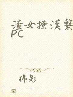 渣女撩汉系统NPC