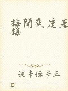 梅开几度老周张梅封面