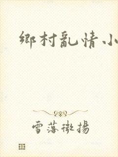 乡村乱情小说封面