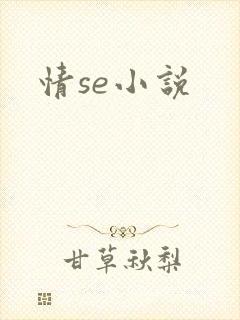 情se小说