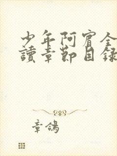 少年阿宾全文阅读章节目录