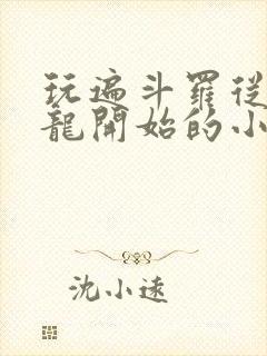 玩遍斗罗从柳二龙开始的小说