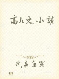 高h文小说封面