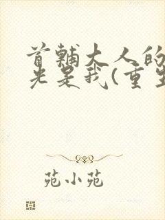 首辅大人的白月光是我(重生)