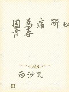 因为痛 所以叫青春