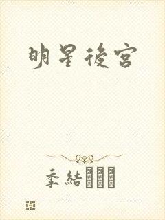 明星后宫