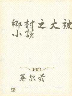 乡村之大被同眠小说