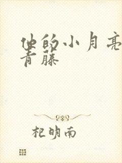 他的小月亮by青藤封面