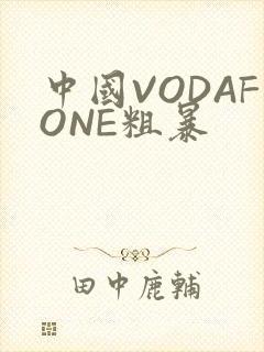 中国VODAFONE粗暴