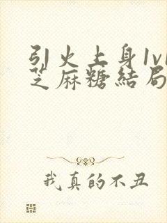 引火上身1v1芝麻糖结局封面