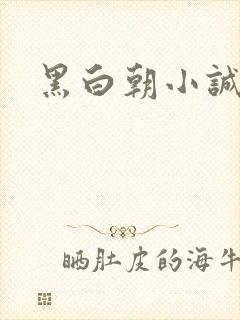 黑白朝小诚封面