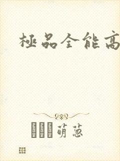 极品全能高手封面