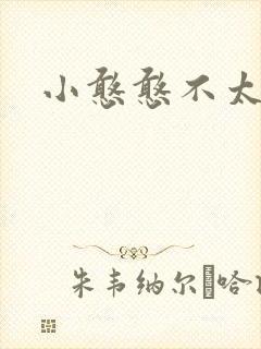 小憨憨不太二封面