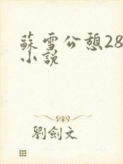 苏雪公憩28篇小说