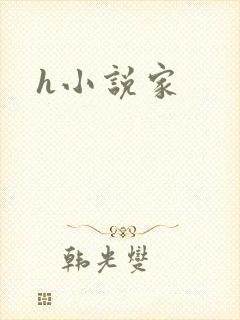 h小说家