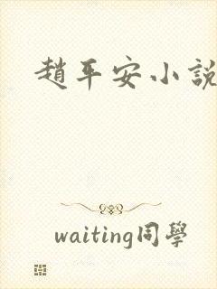 赵平安小说主角