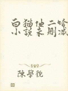 白猫他二哈师尊小说未删减
