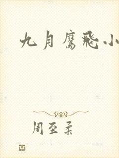 九月鹰飞小说