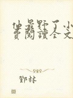 他最野了小说免费阅读全文封面