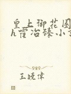 皇上御花园hlh霍冶臻小说封面