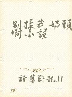 别揉我奶头嗯～啊小说