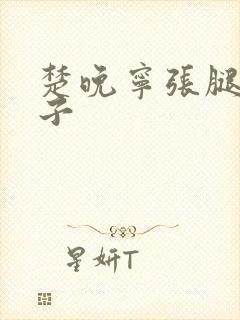 楚晚宁张腿放棋子