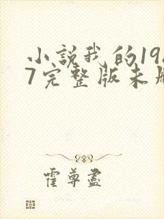 小说我的1987完整版未删减小说封面