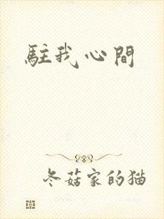 驻我心间