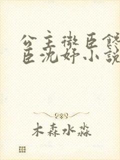 公主微臣馋了微臣沈妤小说