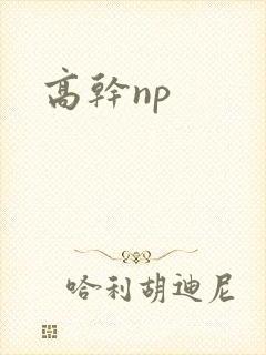 高干np