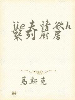 jie夫情欲h系列厨房