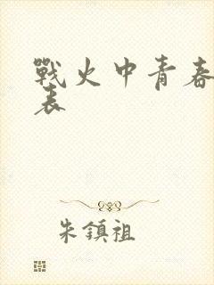 战火中青春演员表封面