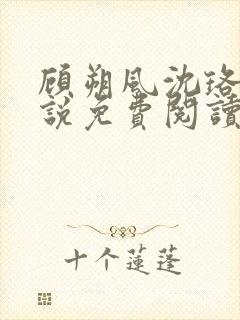 顾朔风沈珞舒小说免费阅读最新章节