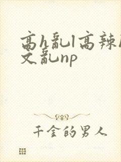 高h乱l高辣h文乱np